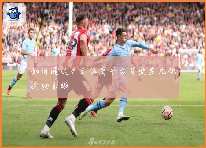 如何通过开云体育平台享受多元化运动乐趣