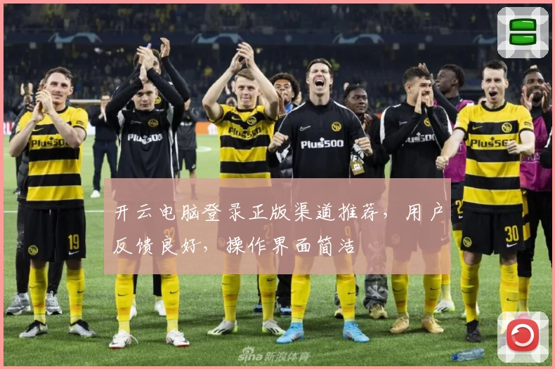 开云电脑登录正版渠道推荐，用户反馈良好，操作界面简洁