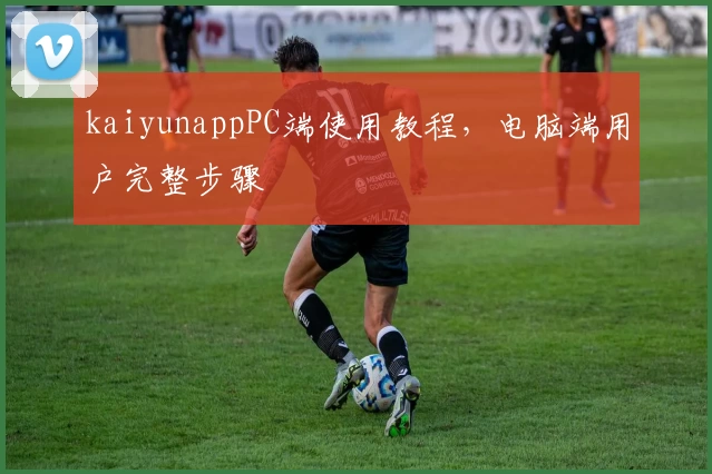 kaiyunappPC端使用教程，电脑端用户完整步骤