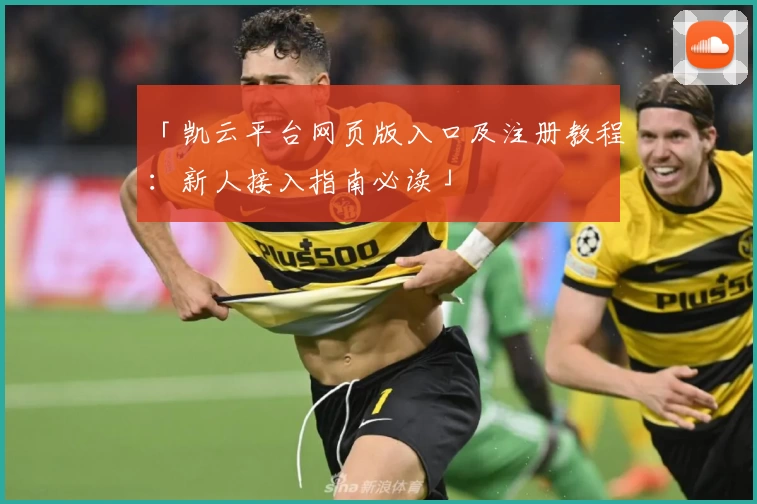 「凯云平台网页版入口及注册教程：新人接入指南必读」